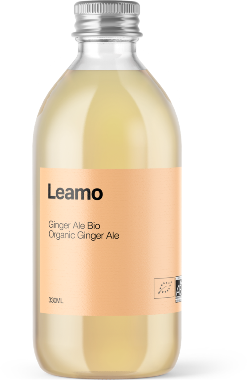 bouteille Ginger Ale